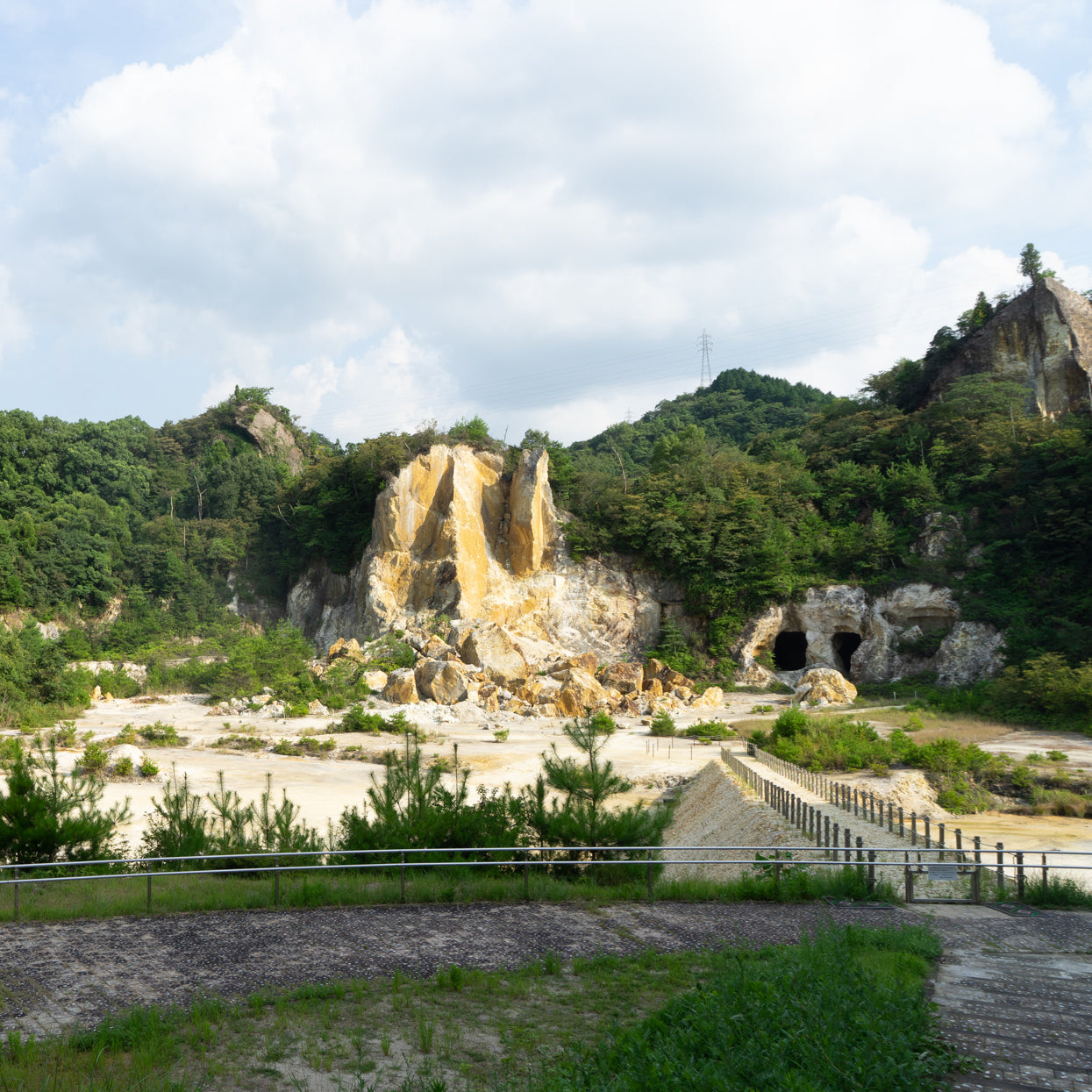Izumiyama Sometsuke Houhin (No.45 Intricate Pattern) / Shinji Terauchi
