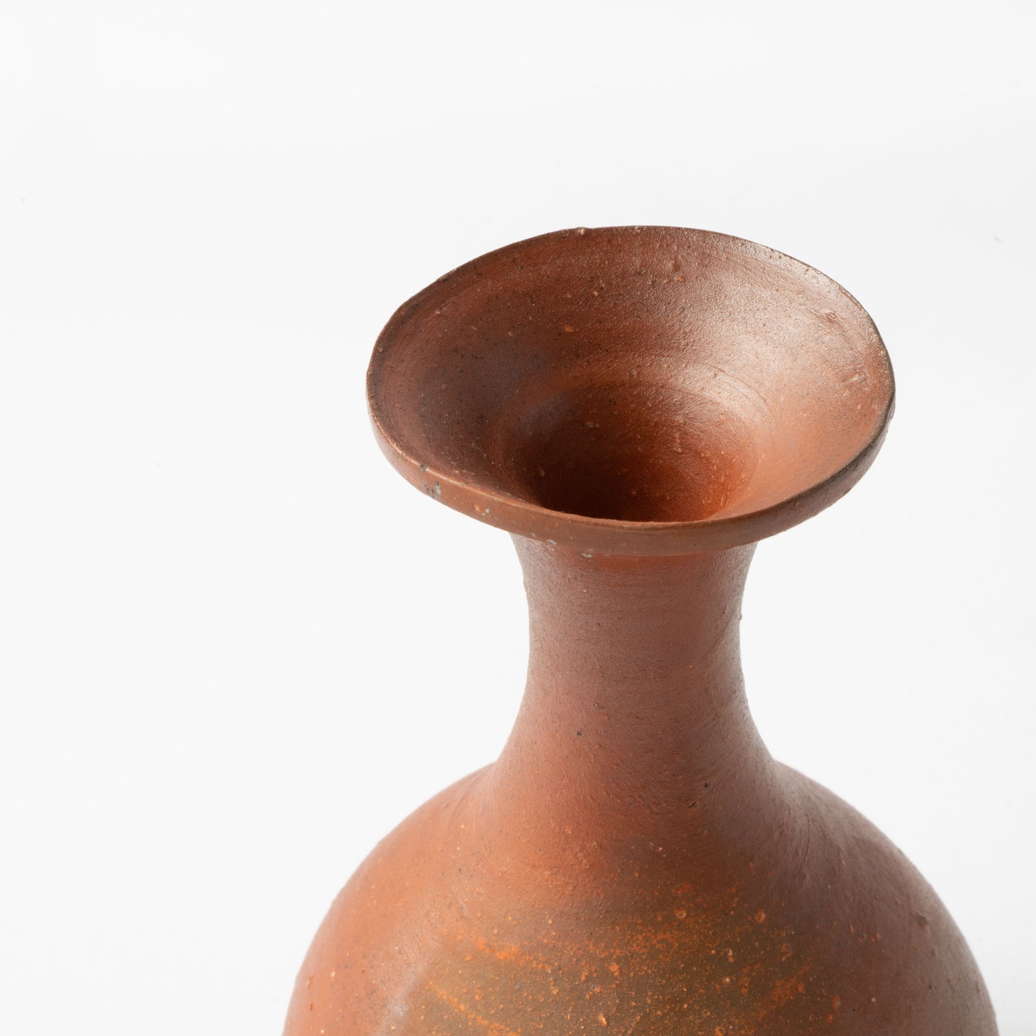 Bizen Tokkuri / Hitoshi Morimoto