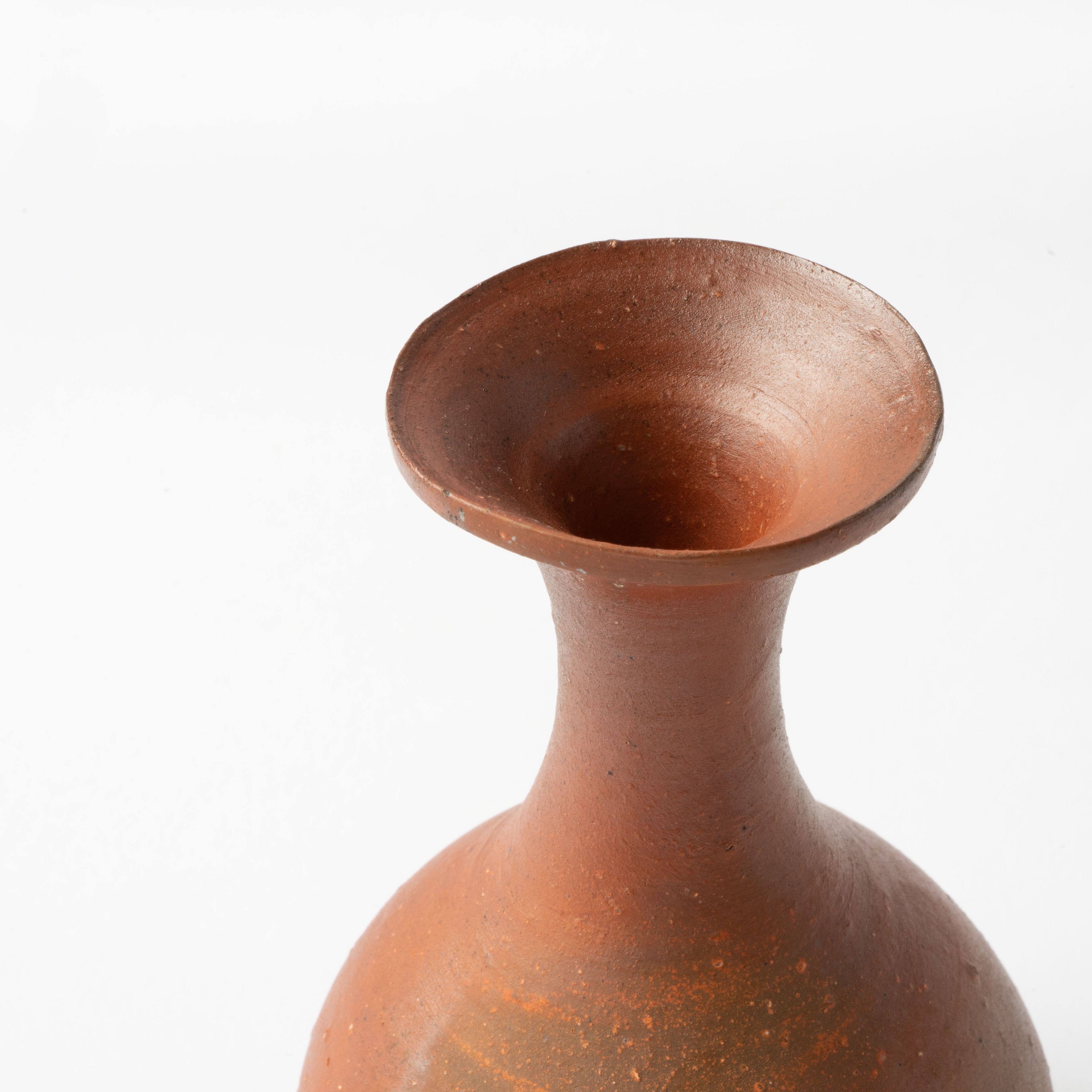 Bizen Tokkuri / Hitoshi Morimoto