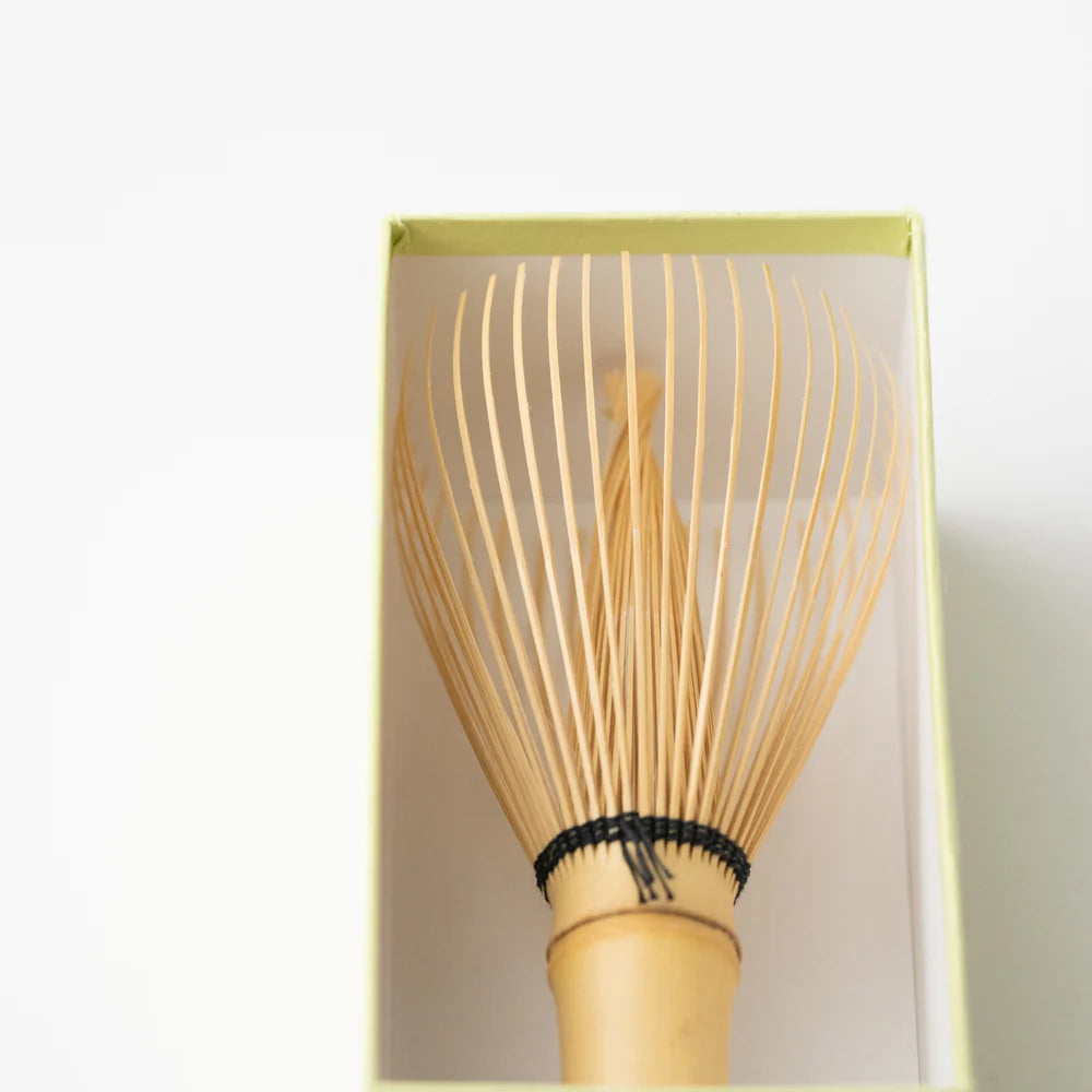 Chasen Shin‐Kazuho / White Bamboo