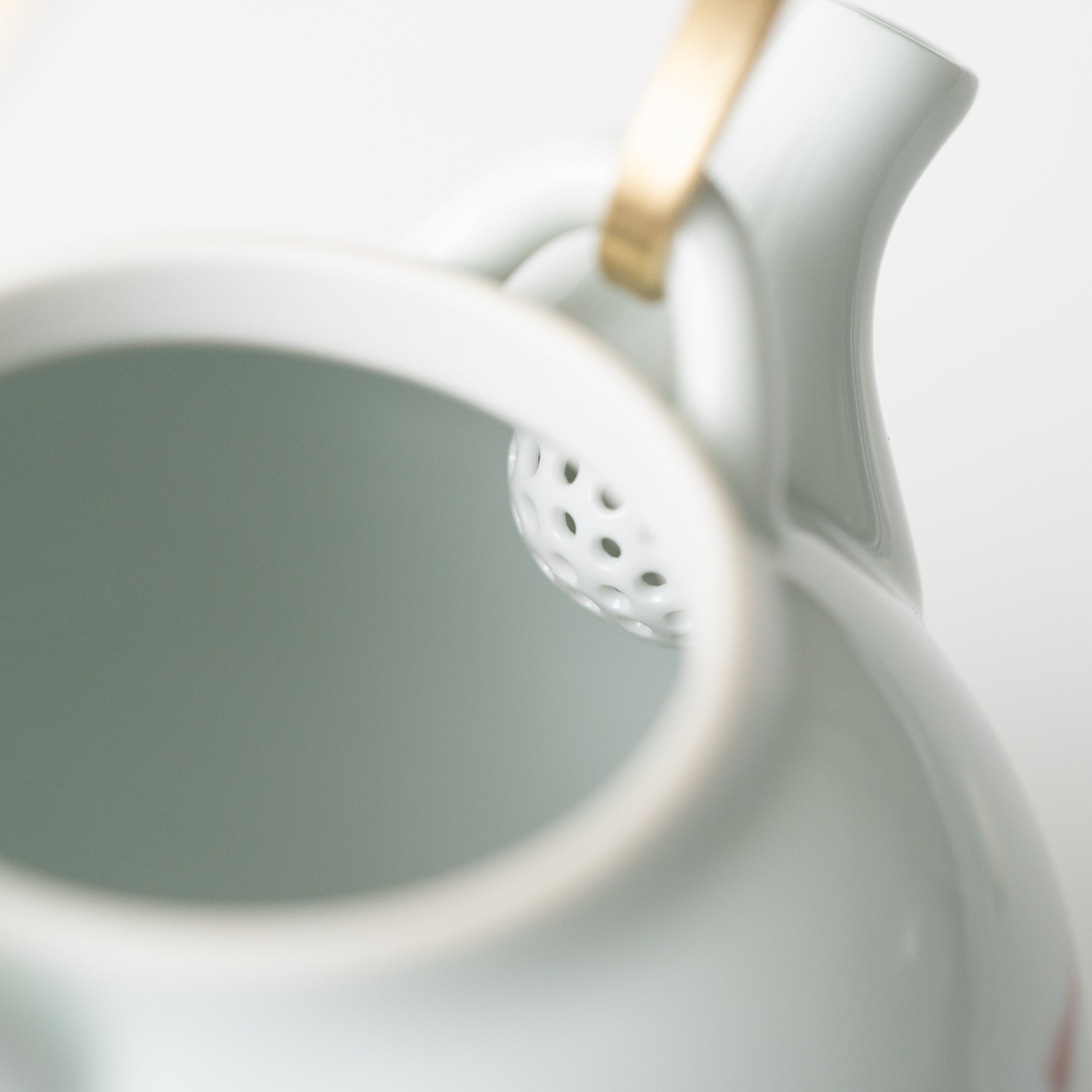 Tea Pot (S) / Red Killifish