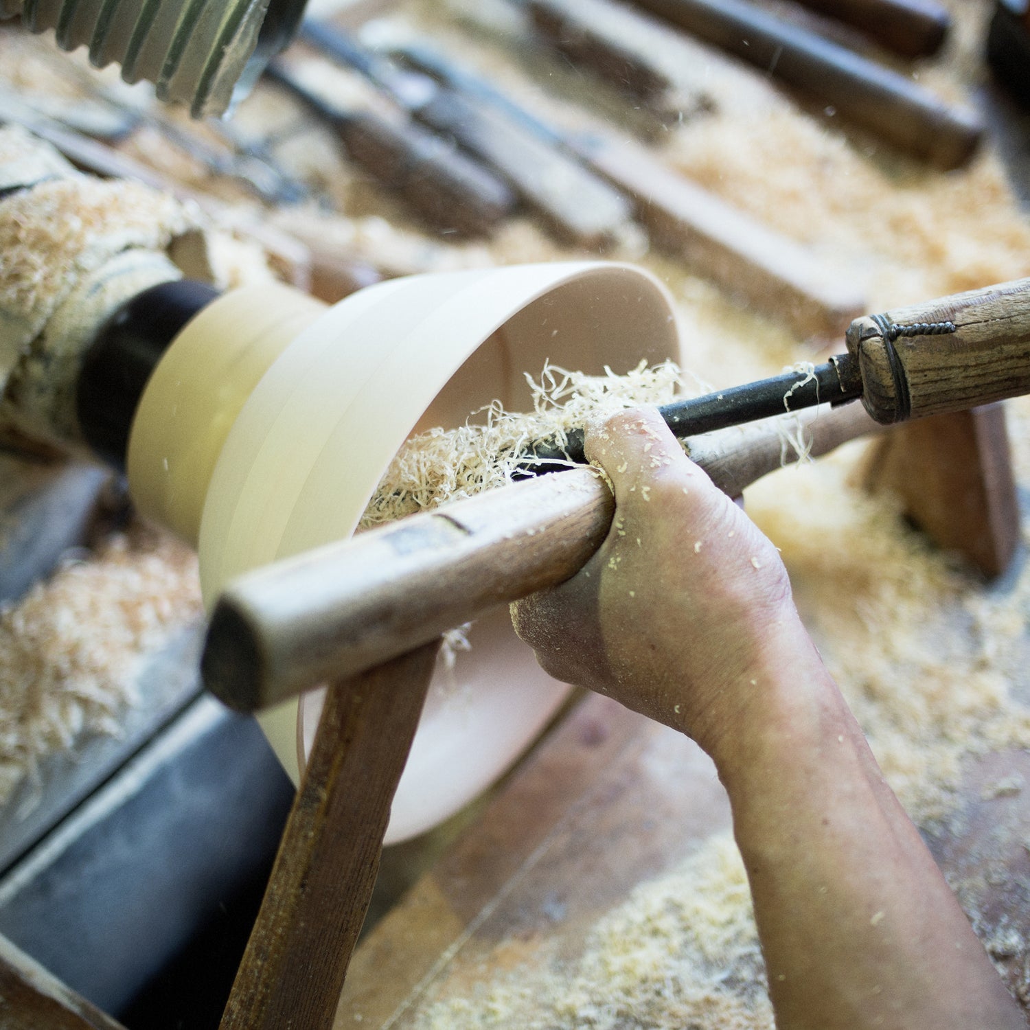 Tray LL / Japanese Cypress