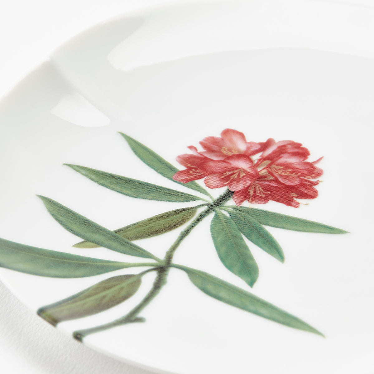 Tanigawadake Botanical Plates (Set of 5 pcs)