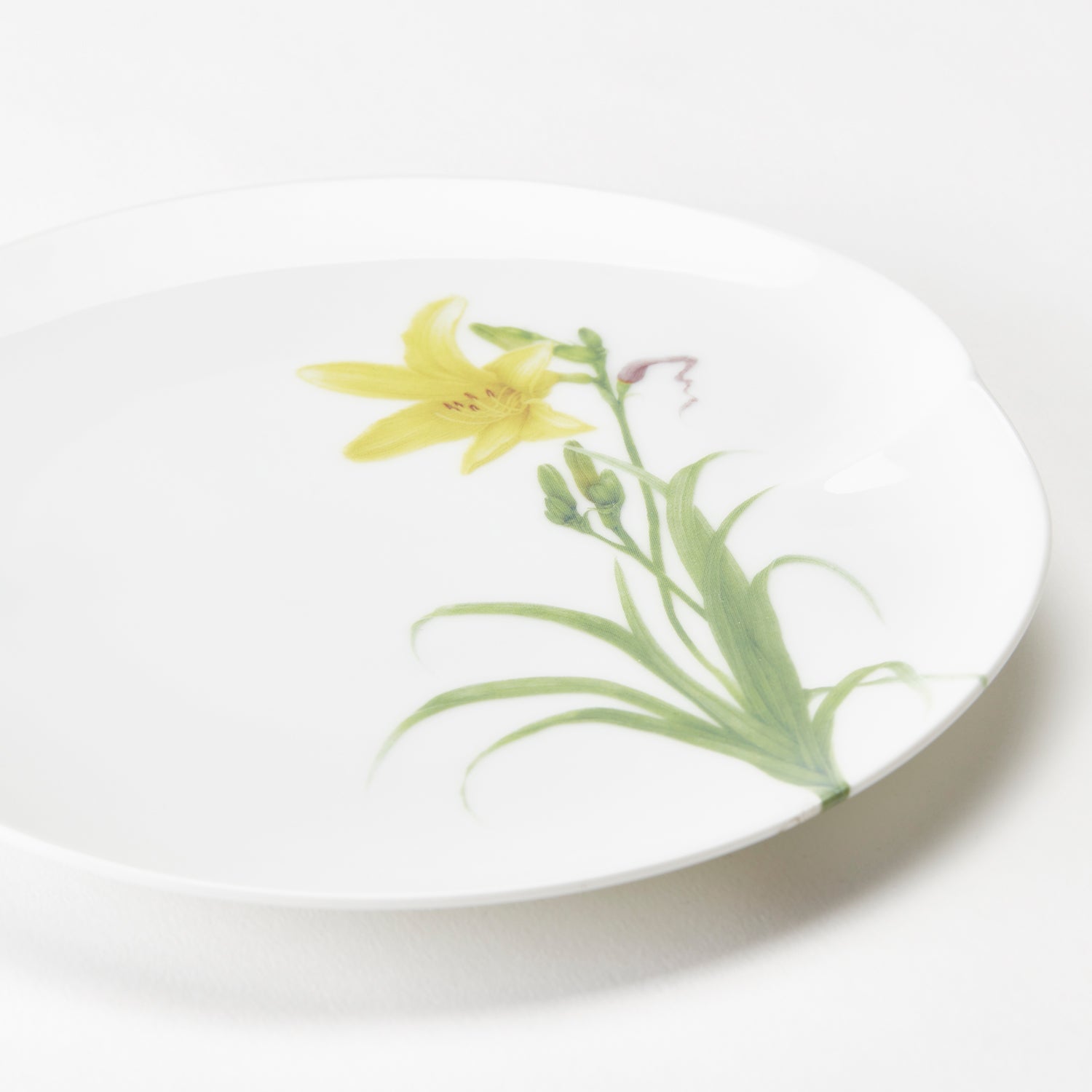 Tanigawadake Botanical Plates (Set of 5 pcs)