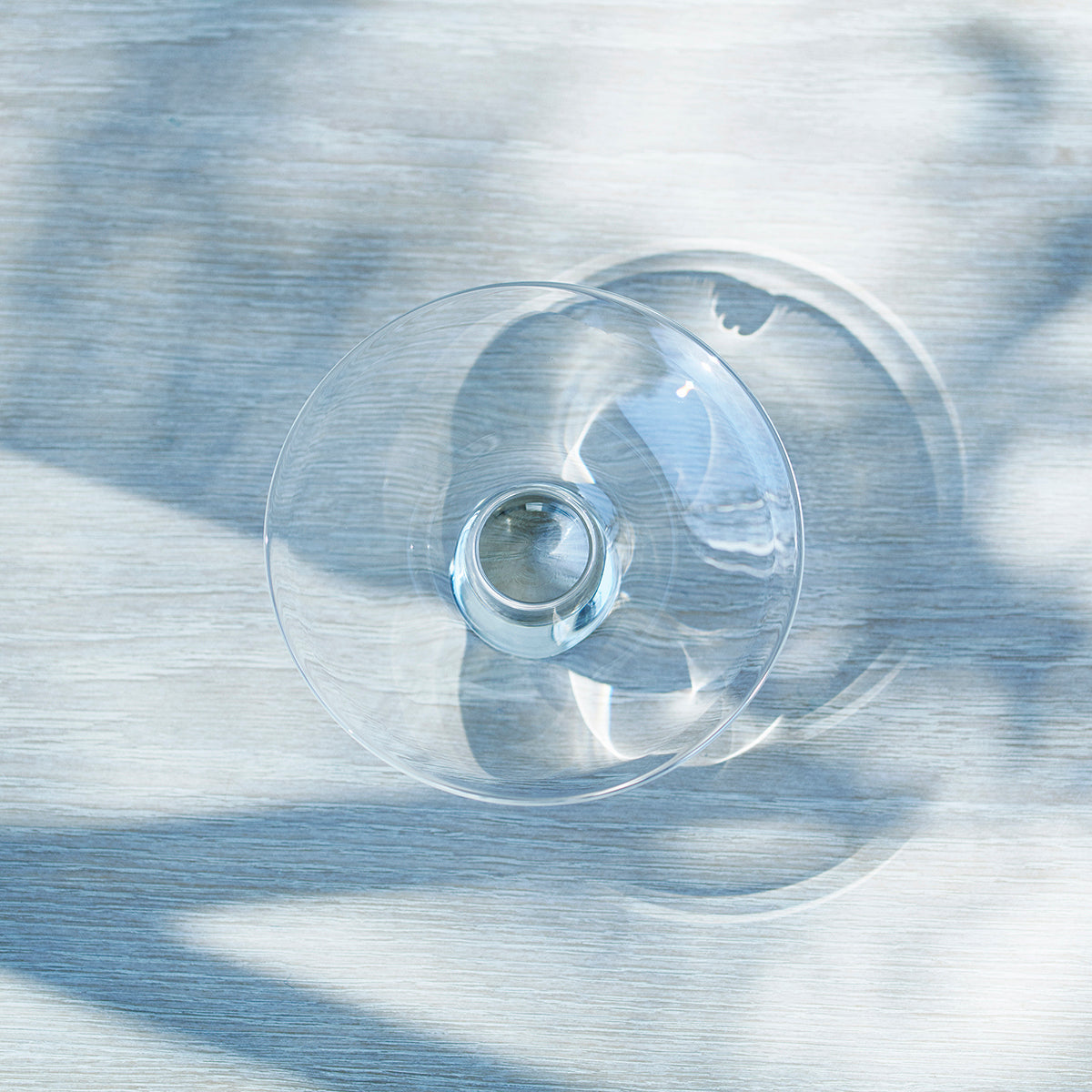 Hydrangea - Water Vessel