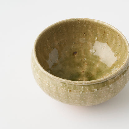 Shigaraki Bowl (E) / Shinji Terauchi