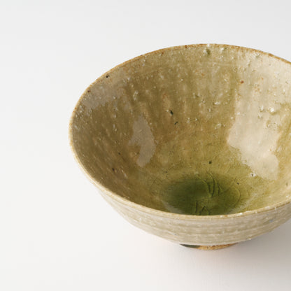 Shigaraki Bowl (D) / Shinji Terauchi