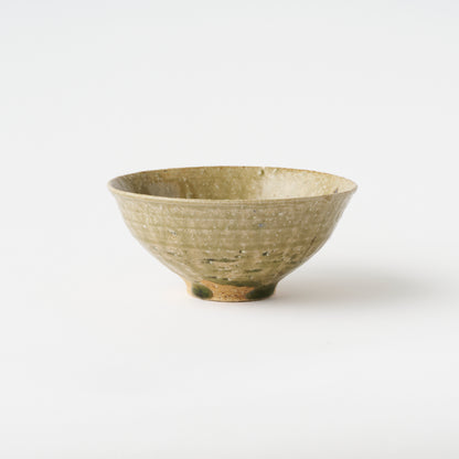 Shigaraki Bowl (D) / Shinji Terauchi