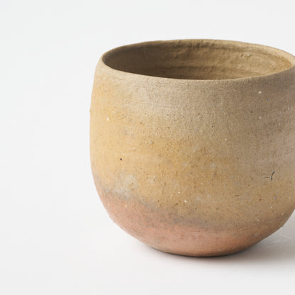 No.4 Shigaraki Tea Bowl / Q Tani