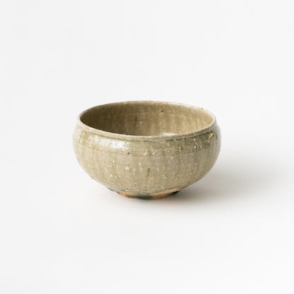 Shigaraki Bowl (E) / Shinji Terauchi