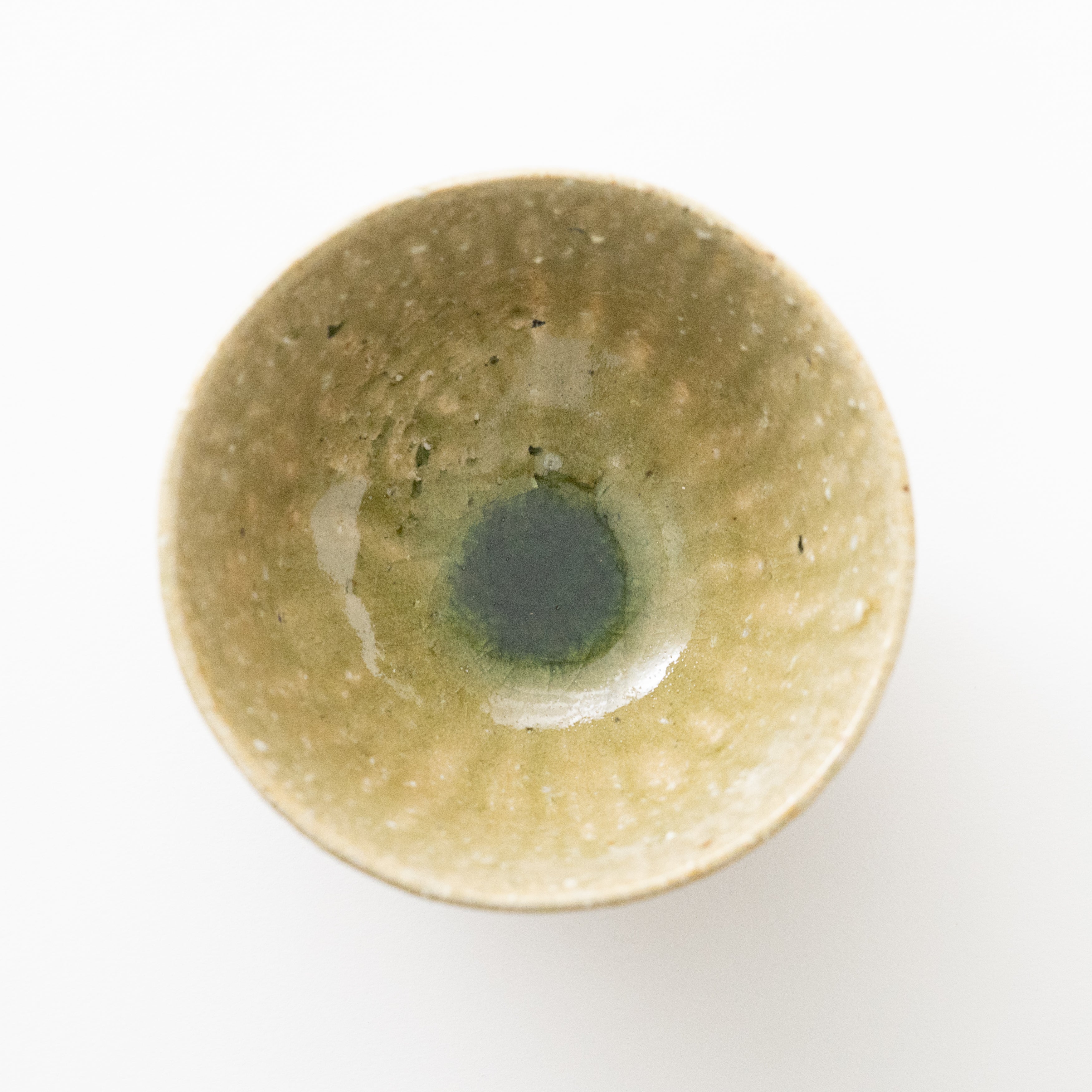 Shigaraki Bowl (B) / Shinji Terauchi