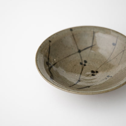 E-Karatsu (Pictured) Plate / Kenta Nakazato