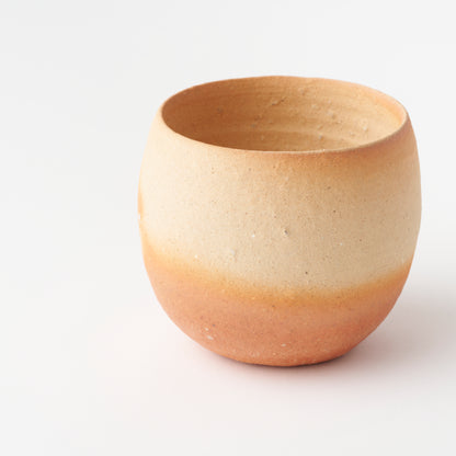 No.6 Shigaraki Tea Bowl / Q Tani