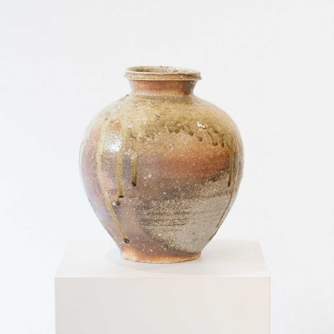 Shigaraki Jar / Katsunori Sawa