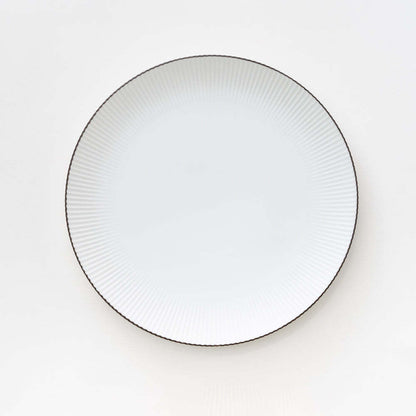Shinogi Plate / Medium