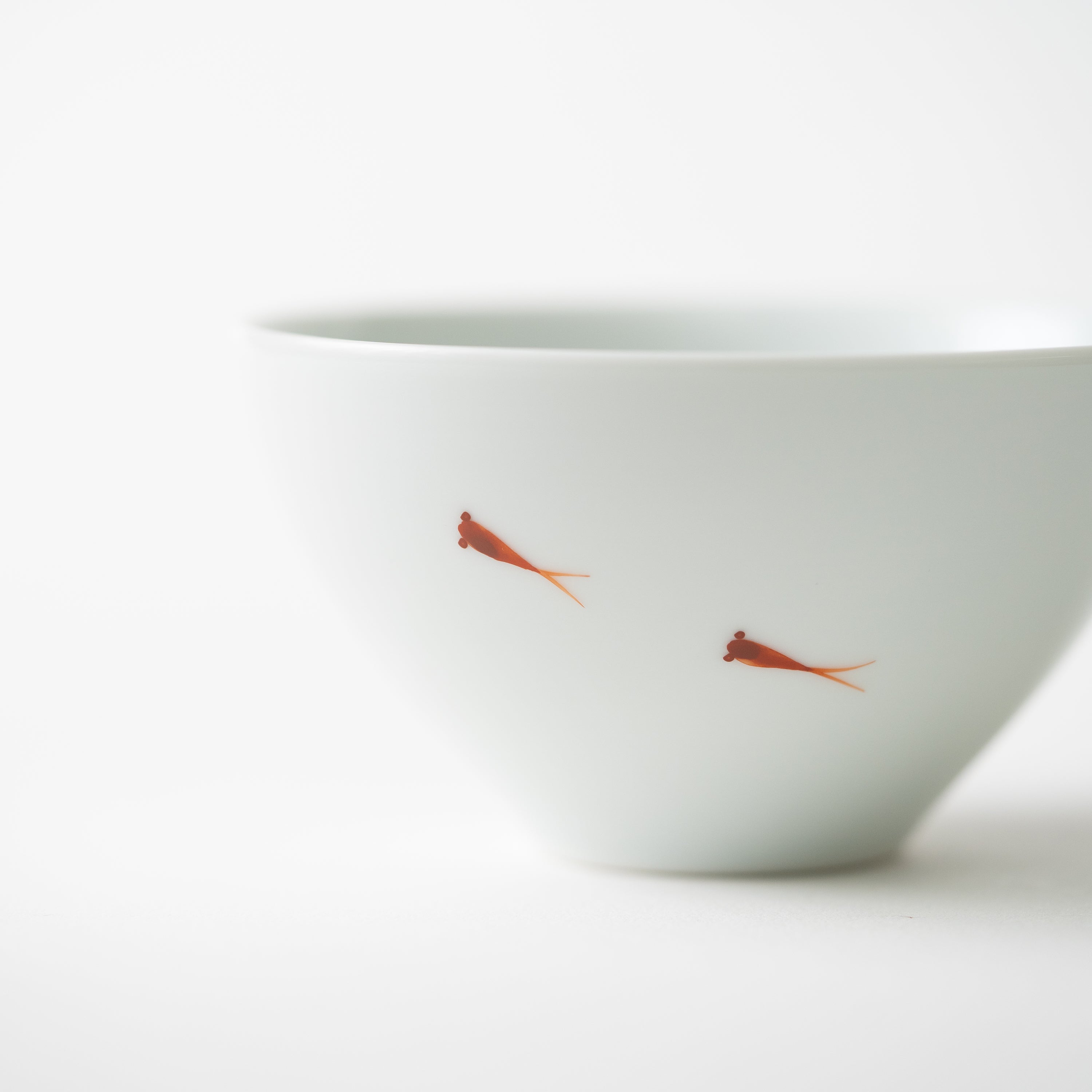 Tea Cup / Red Killifish